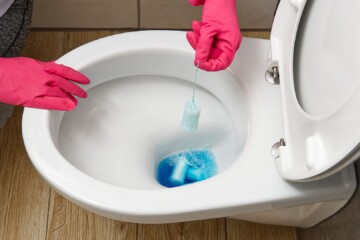 Frequent Reasons for Plumbing Toilet Blockages