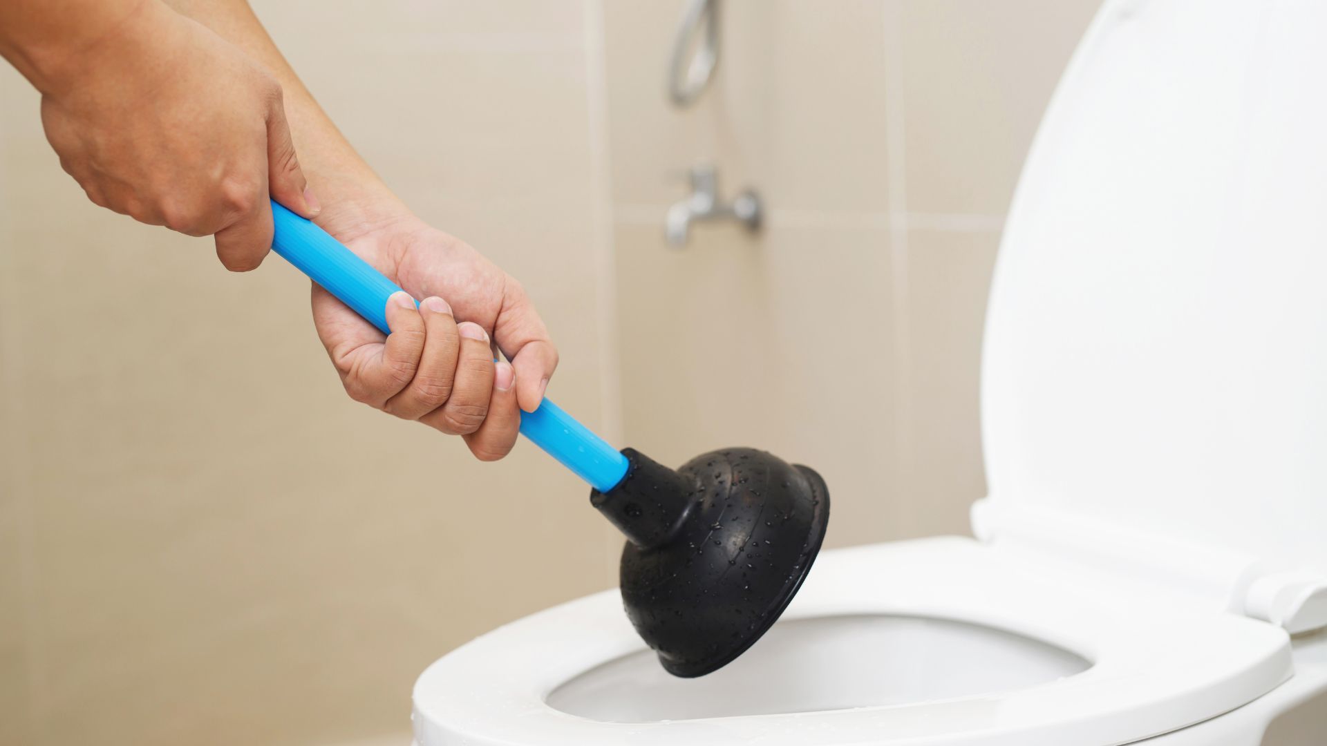 Blocked or clogged toilet service provided by professional plumbers.