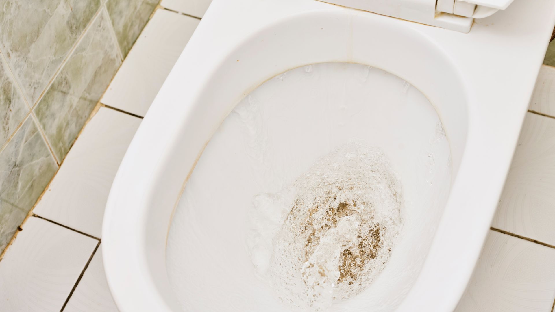 Eco-Friendly Solutions for Toilet Unclogging by Professional Plumbers