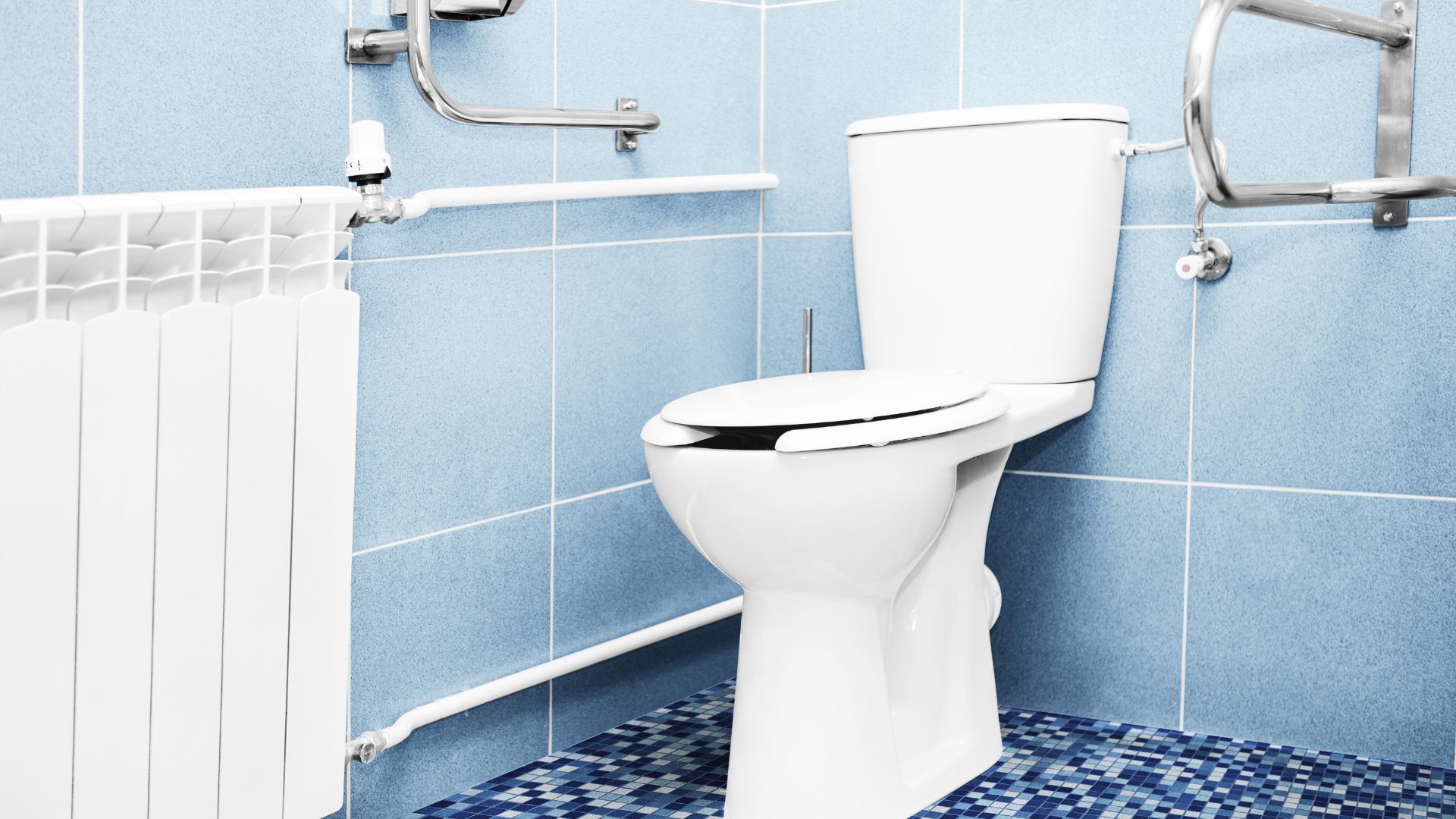 Importance of choosing the right toilet for you by plumbers