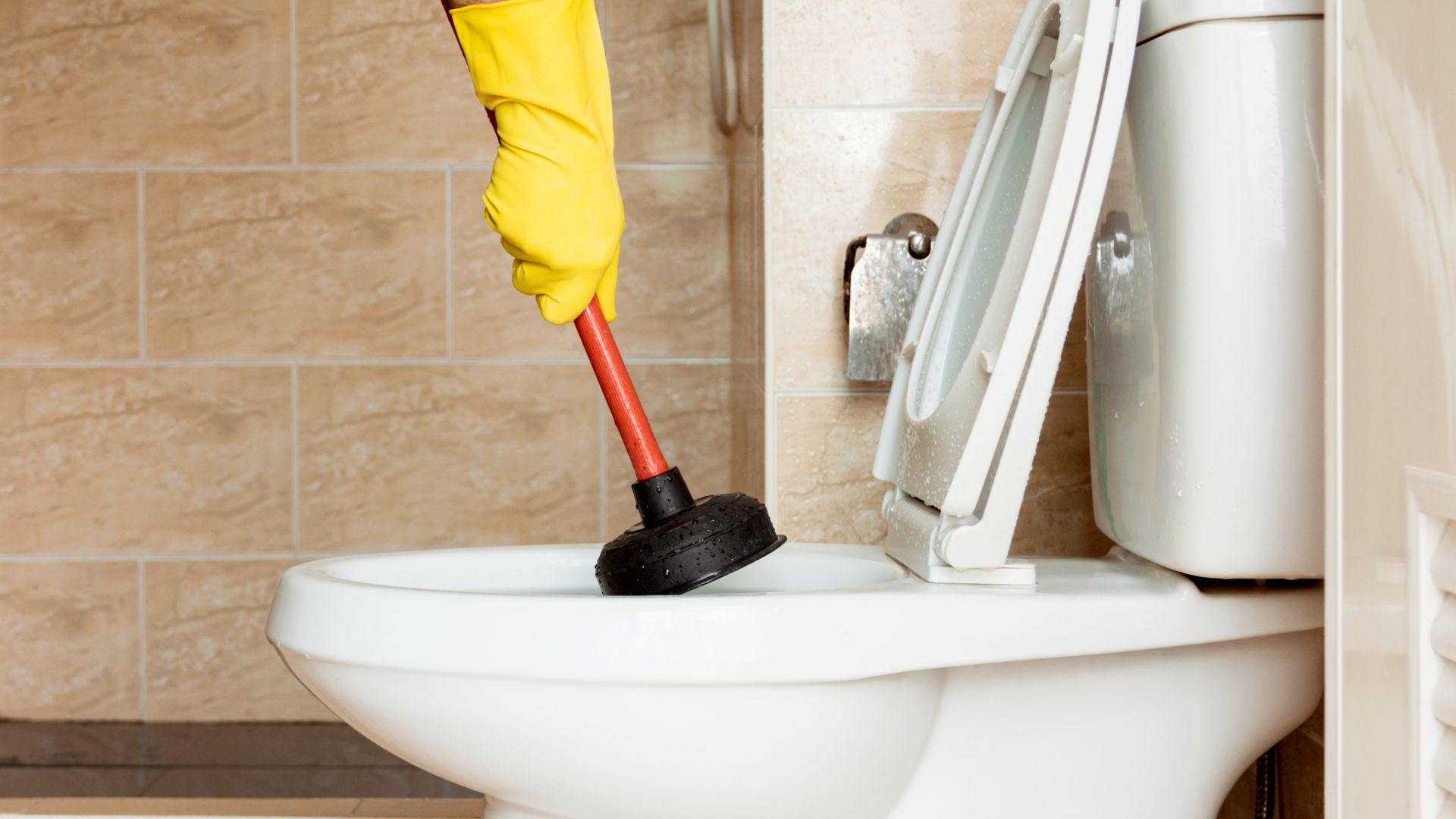 Blocked and Clogged Toilets Fixed by Experienced Plumbers
