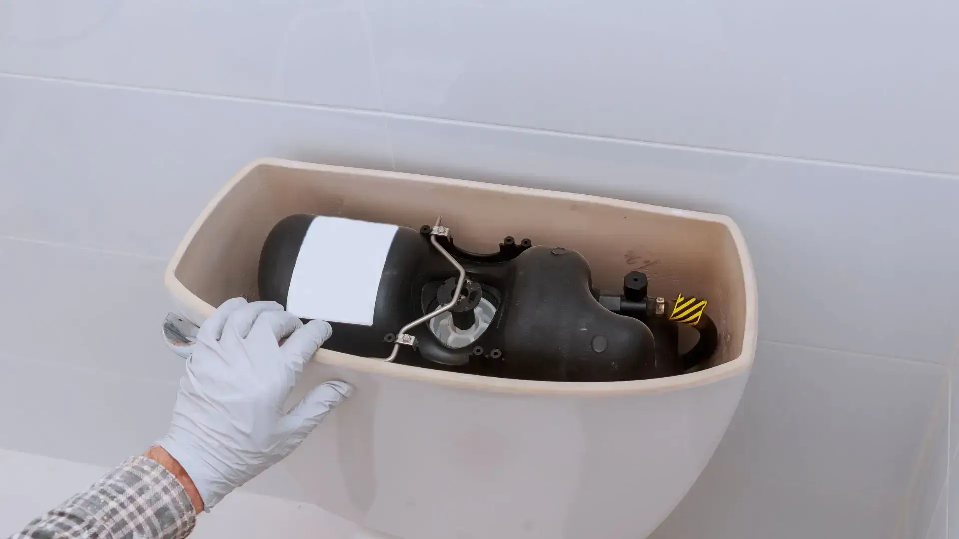 What causes a toilet to leak 8 Toilets Damaged Tank Requiring Attention from Plumbers