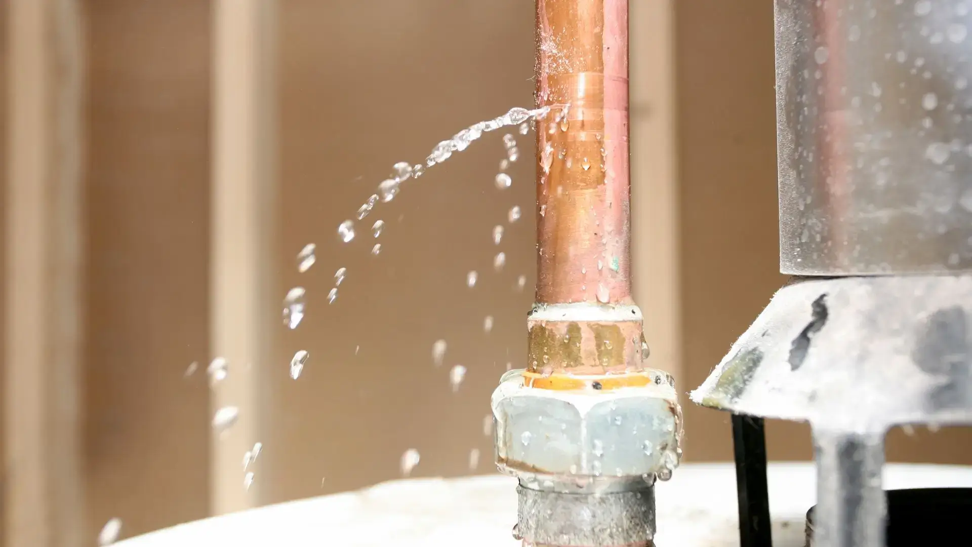 Early Signs of Bathroom Leaks You Shouldn’t Ignore 8 Bathroom Bathroom Flooring Warped or Damaged Plumbers Needed