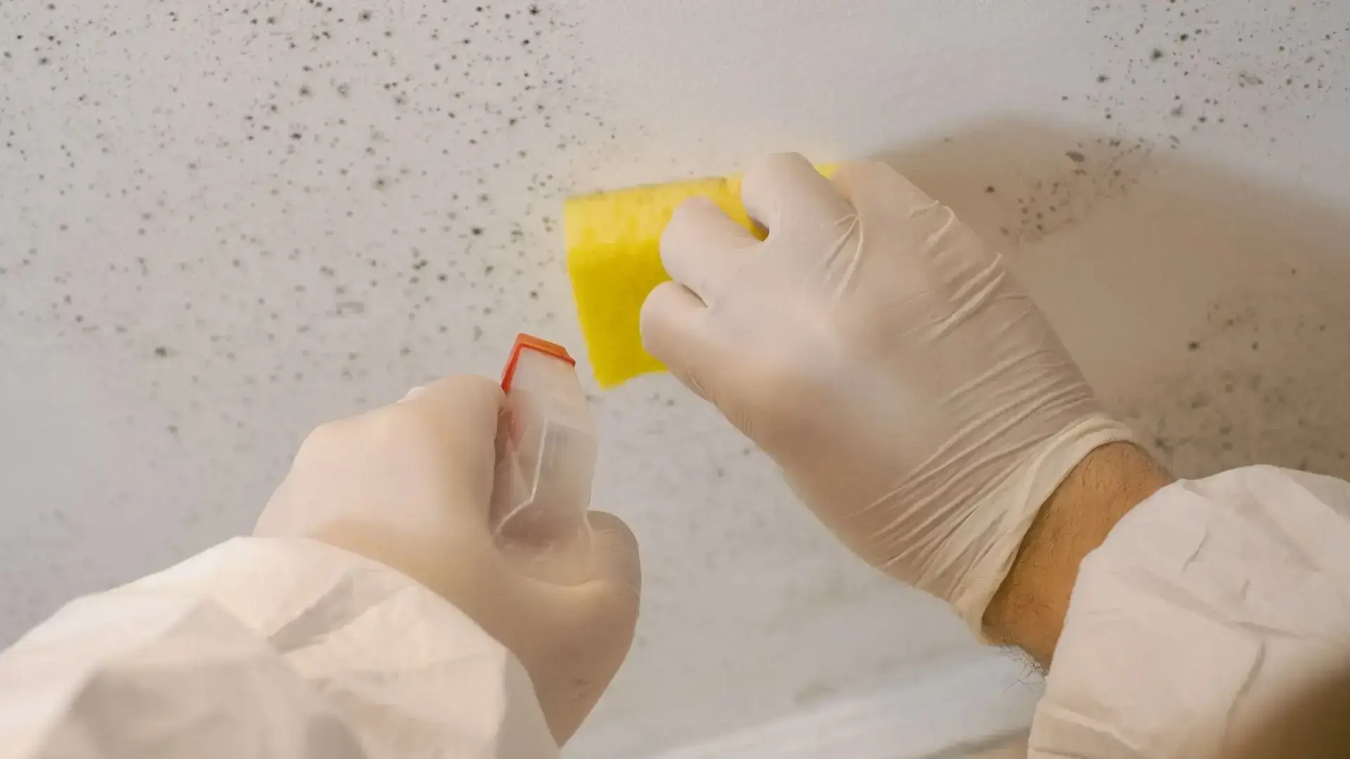Why Sump Pump Installation Is Important For Your Home 8 Sump Pump Reducing the risk of mold and mildew is essential. Discover effective strategies with guidance from our experienced plumbers.
