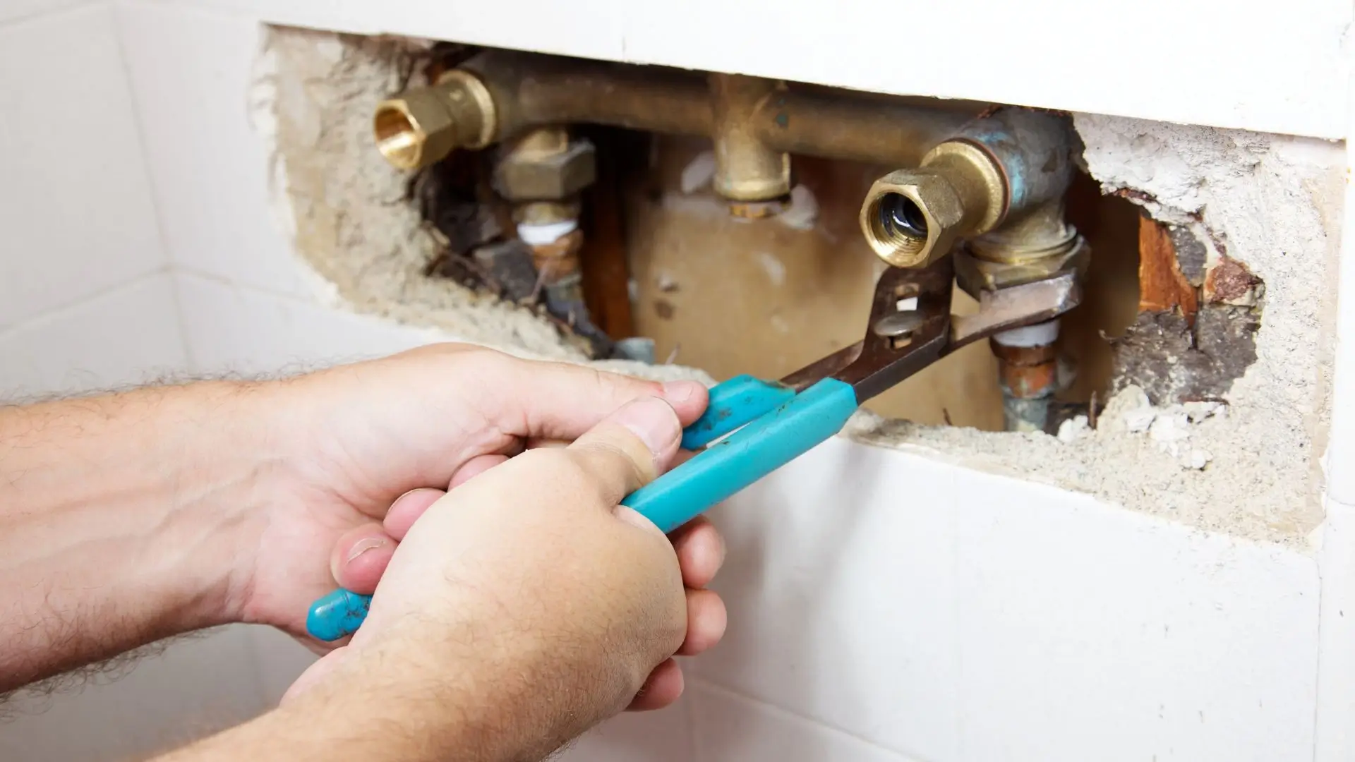 Neglecting Leaks and Drips A Plumber's Warning