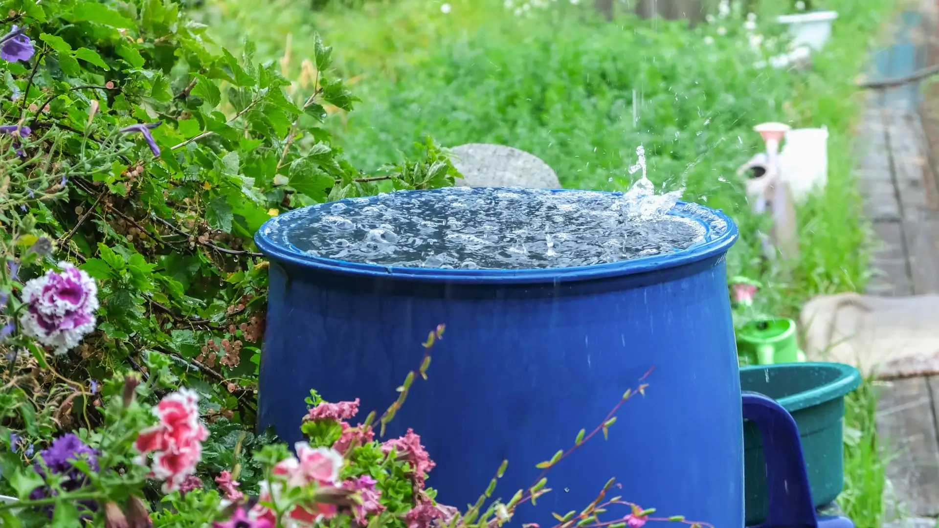 Rainwater Harvesting Methods Used by Plumbers