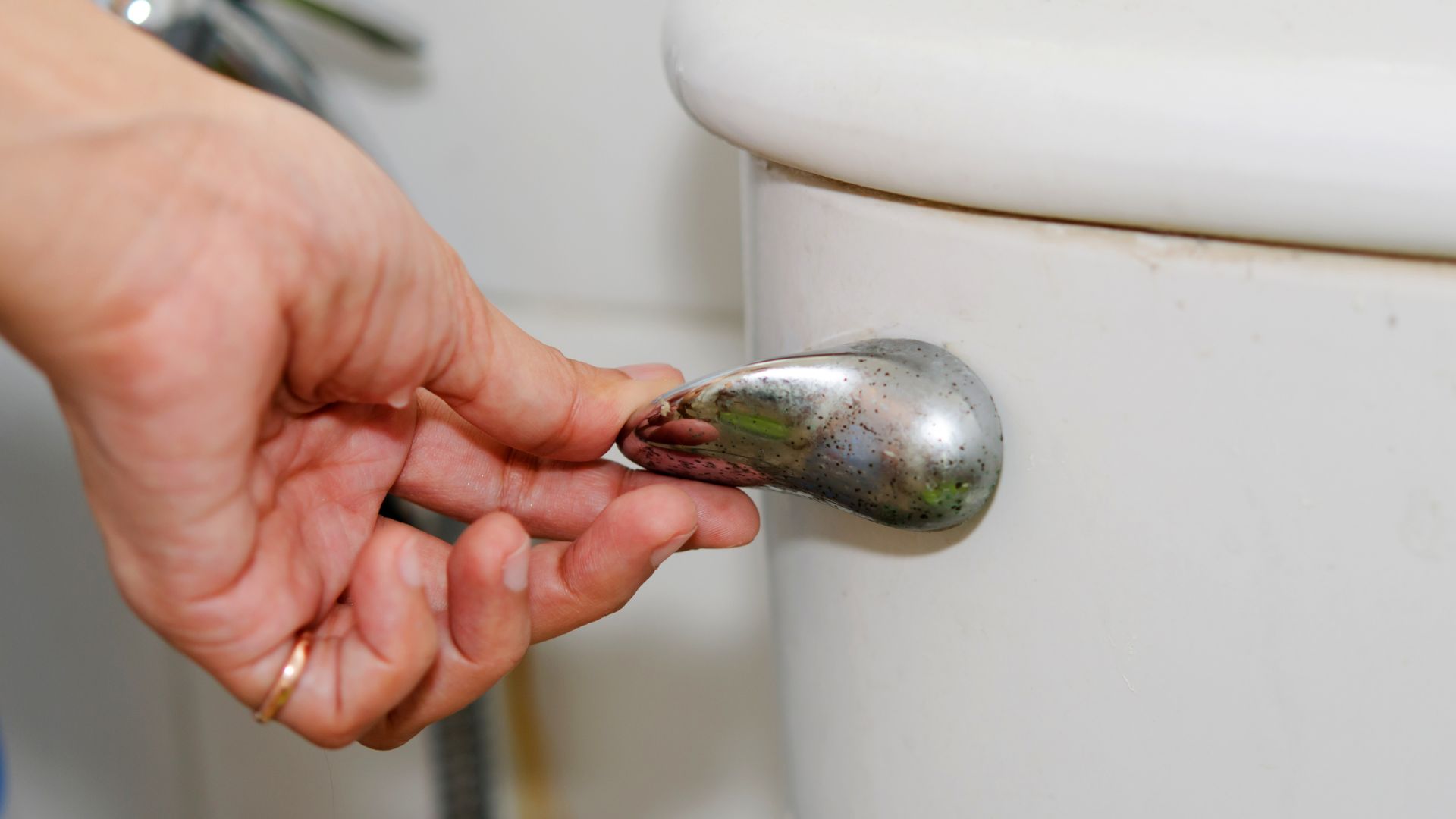 Trouble Flushing When to Call Plumbers