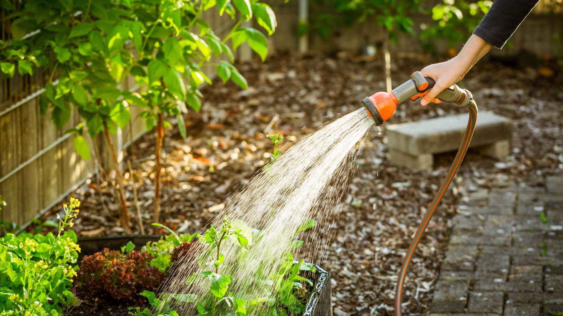 Irrigating Garden Beds for Plumbers